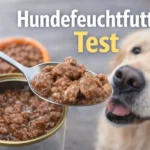 hundefeuchtfutter test